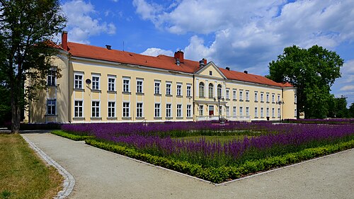 Brzeg Dolny (dolnośląskie)