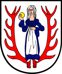 Herb miasta Biały Bór