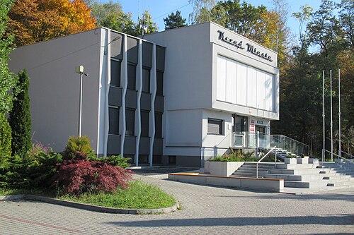 Wojkowice (śląskie)