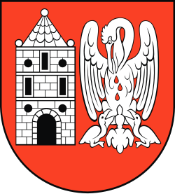 Herb miasta Czerniejewo