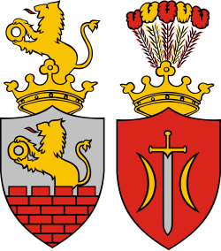 Herb miasta Zduńska Wola