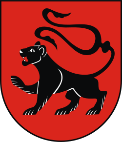 Herb miasta Radłów