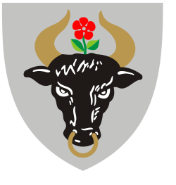 Herb miasta Chojnice