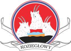 Herb miasta Koziegłowy