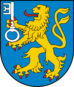 Herb miasta Skwierzyna