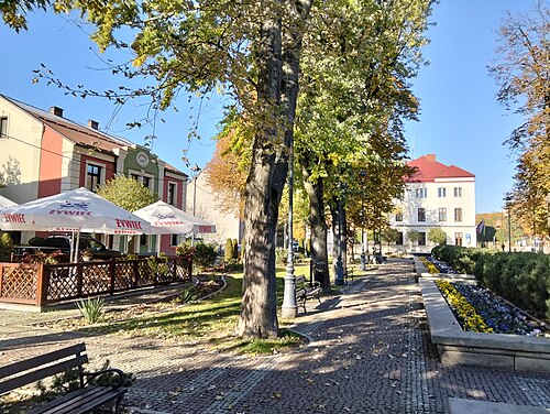 Nisko (podkarpackie)