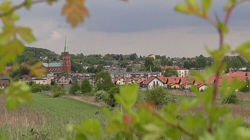 Radzionków (śląskie)