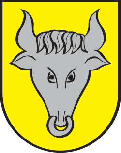 Herb miasta Dynów