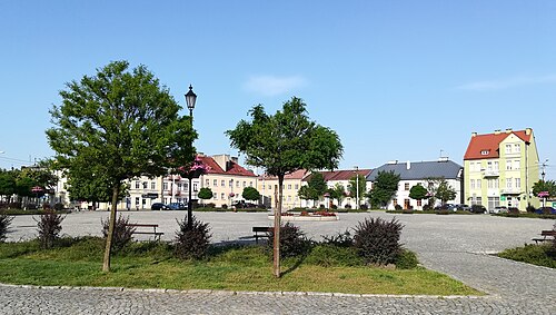 Ozorków (łódzkie)