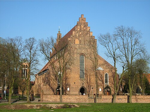 Szamotuły (wielkopolskie)