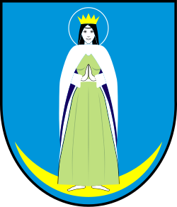 Herb miasta Czemierniki