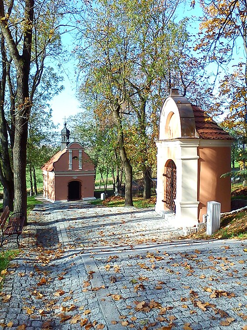Pakość (kujawsko-pomorskie)