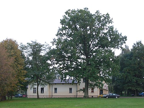 Halinów (mazowieckie)