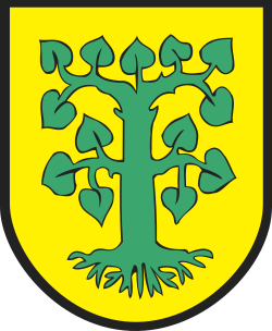 Herb miasta Borne Sulinowo