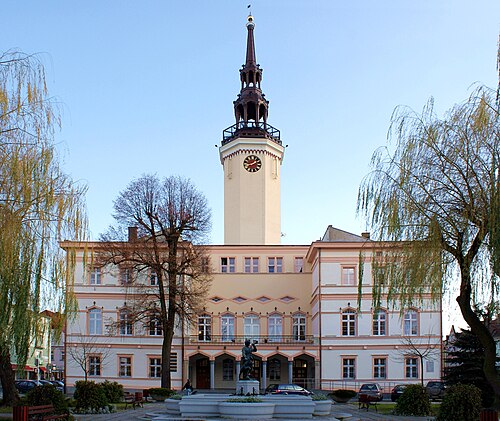 Strzelce Opolskie (opolskie)