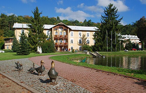 Nałęczów (lubelskie)