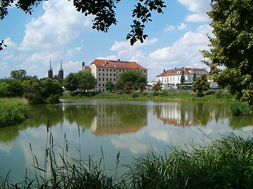 Opatówek (wielkopolskie)